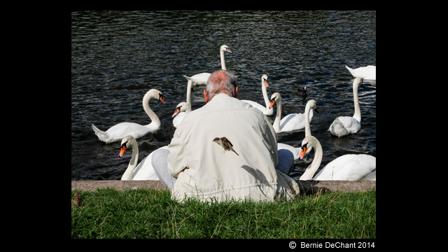 Laat u inspireren - LUMIX Digitale camera DMC-LX100