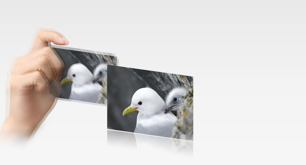 Optische beeldstabilisator
