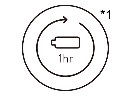 Volledig opgeladen binnen 1 uur