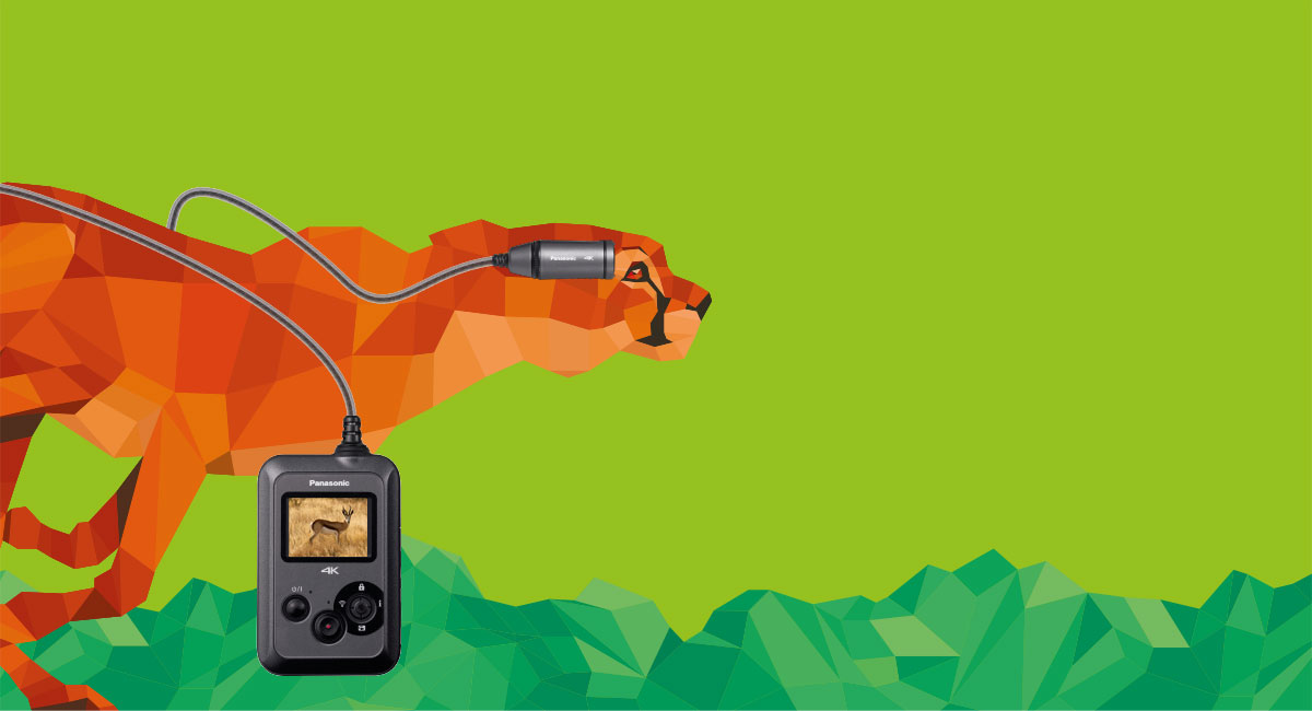 Comfortabel te bekijken video's