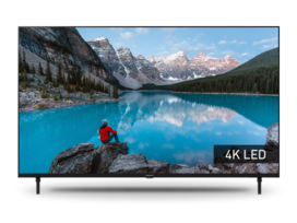 Foto van TX-50MX800E