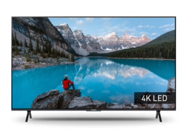 Foto van TX-85MX800E