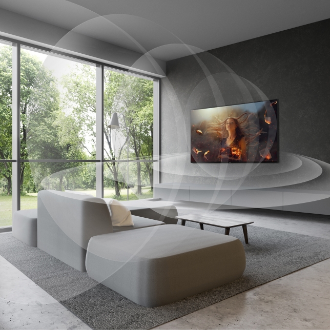 Dynamic Cinema Surround Pro