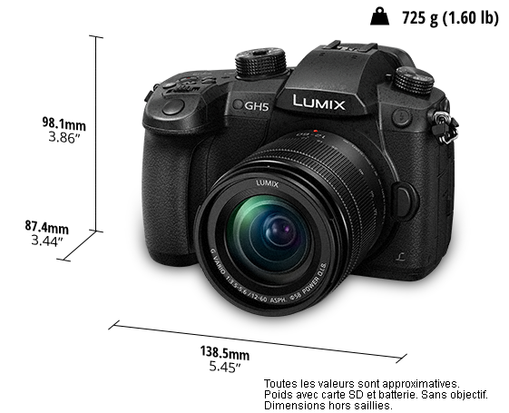 Appareil photo numérique mono-objectif sans miroir LUMIX DC-GH5M