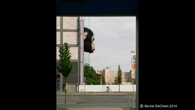 Laissez-vous inspirer - Appareil photo numérique LUMIX DMC-LX100EG