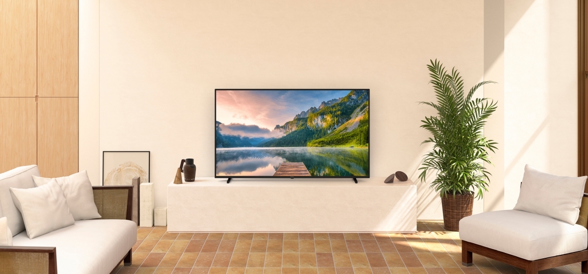 LED TV TX-65JX800E