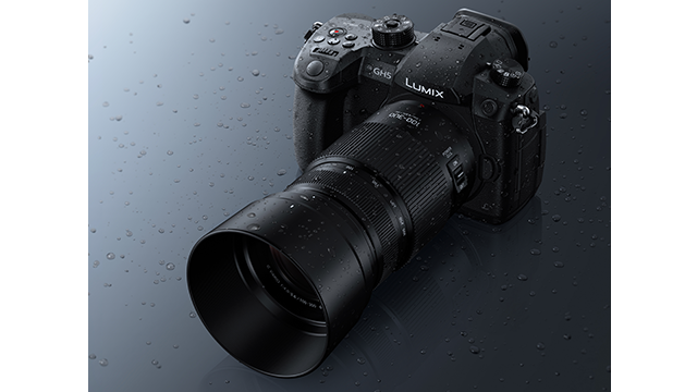 Inspirationen - H-FSA100300 LUMIX G VARIO 100-300 mm / F4.0-5.6 II/ O.I.S.