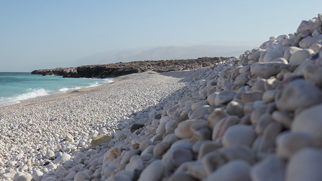 ¿Necesitas ideas? - Cámara digital LUMIX DC-TZ200D