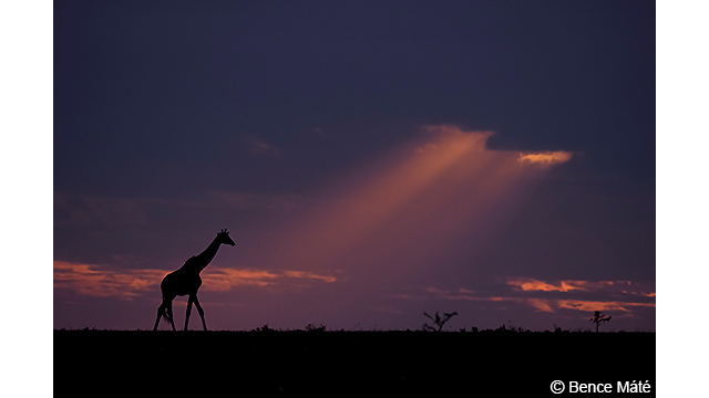 Soyez inspirés - Appareil photo hybride DC-G9H