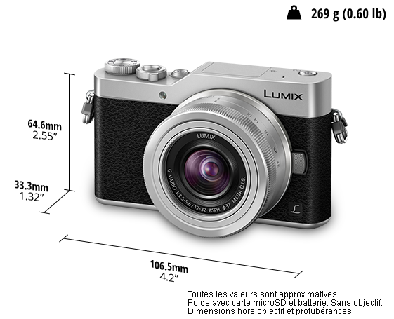 Appareil photo hybride DC-GX800