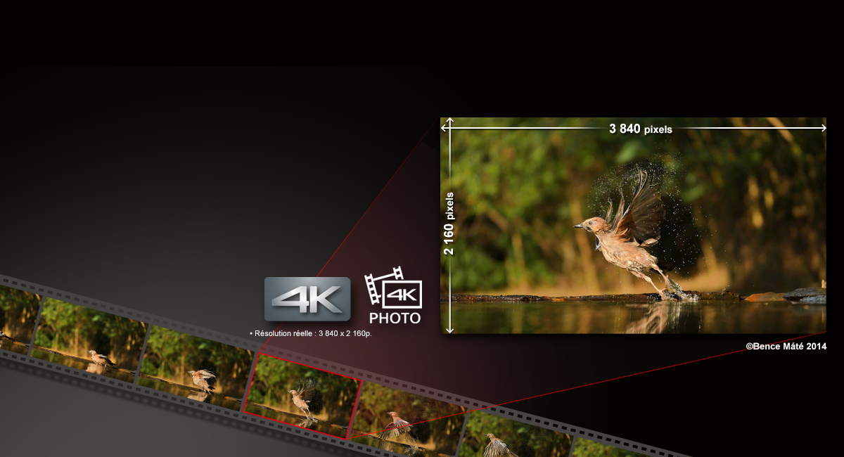 Des photos haute résolution à partir d'une vidéo 4K