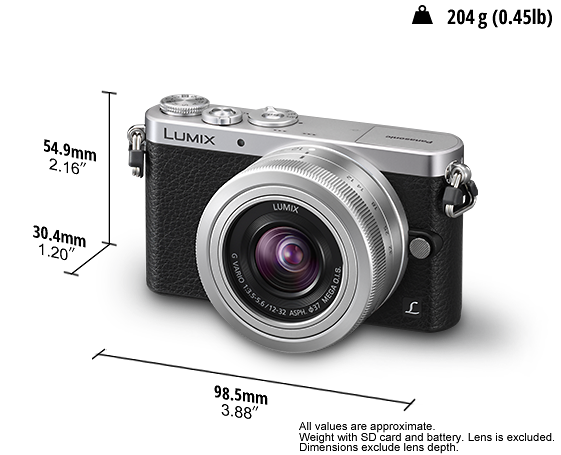 LUMIX Digital Single Lens Mirrorless Camera LUMIX GM1