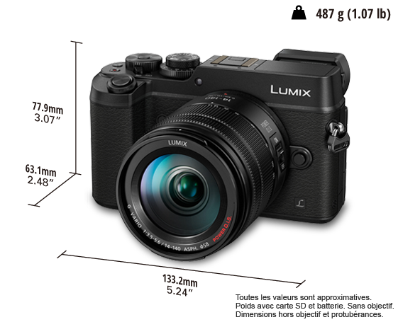 Appareil photo hybride DMC-GX8H