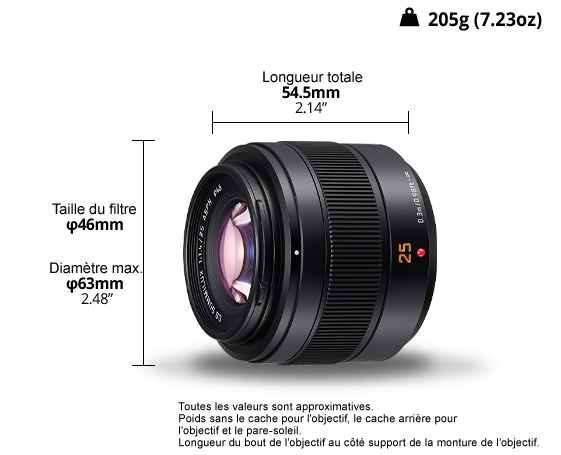 Objectif LUMIX G H-XA025