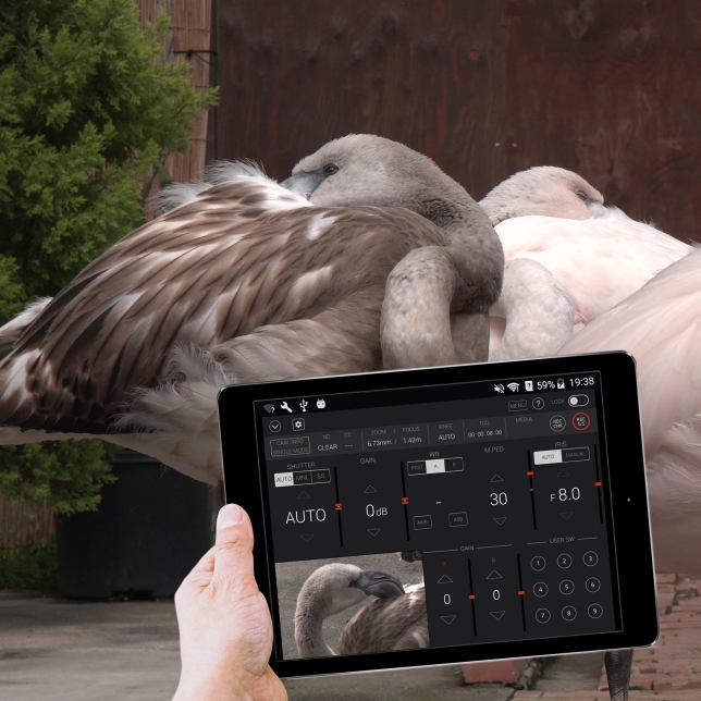 Commande sans fil depuis une tablette ou un smartphone