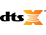 DTS:X