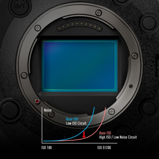 24.2MP full-frame sensor with Dual Native ISO technology