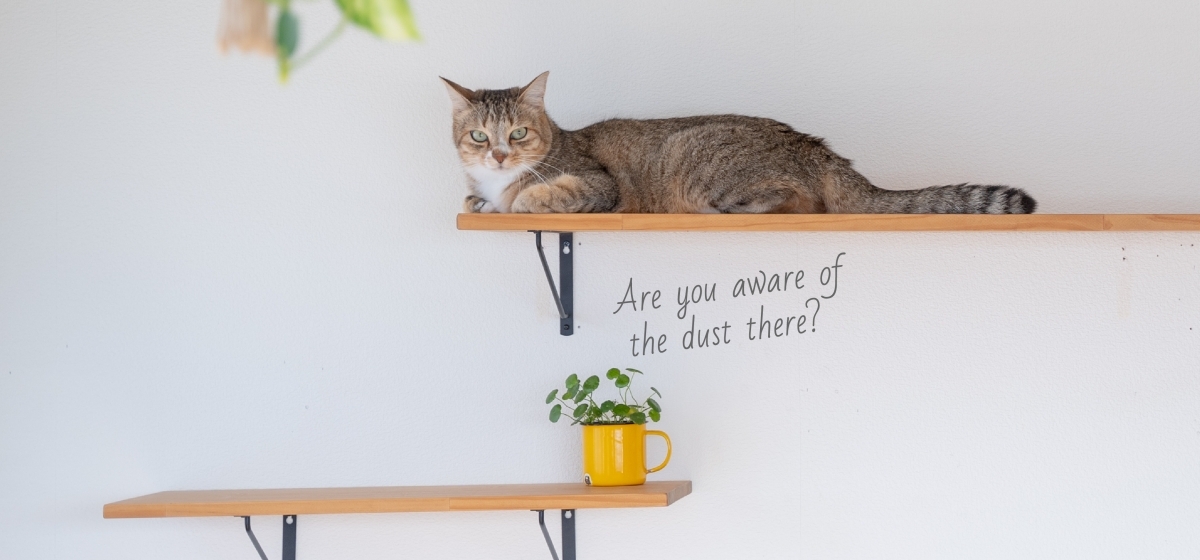 Debu Menumpuk di Tempat yang Tidak Terlihat