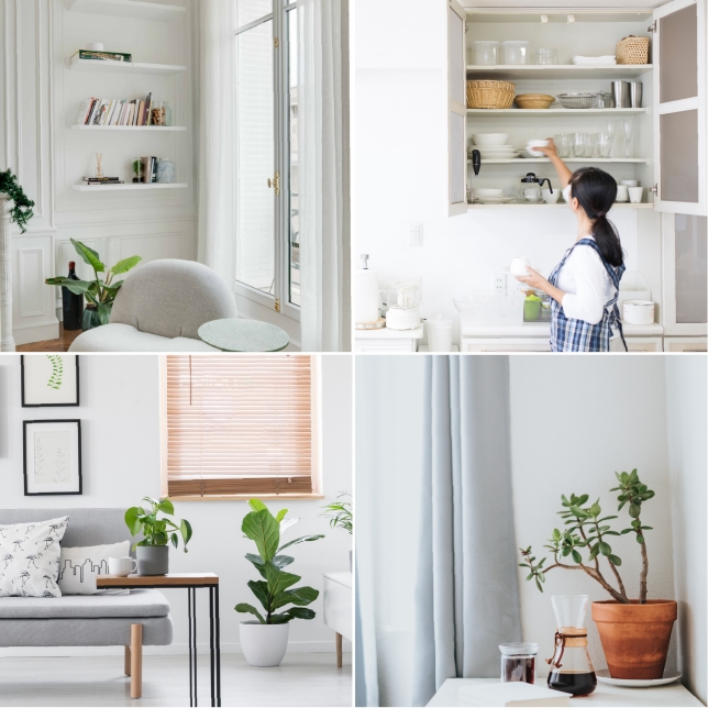 Hidup dengan Penghisap Debu Panasonic