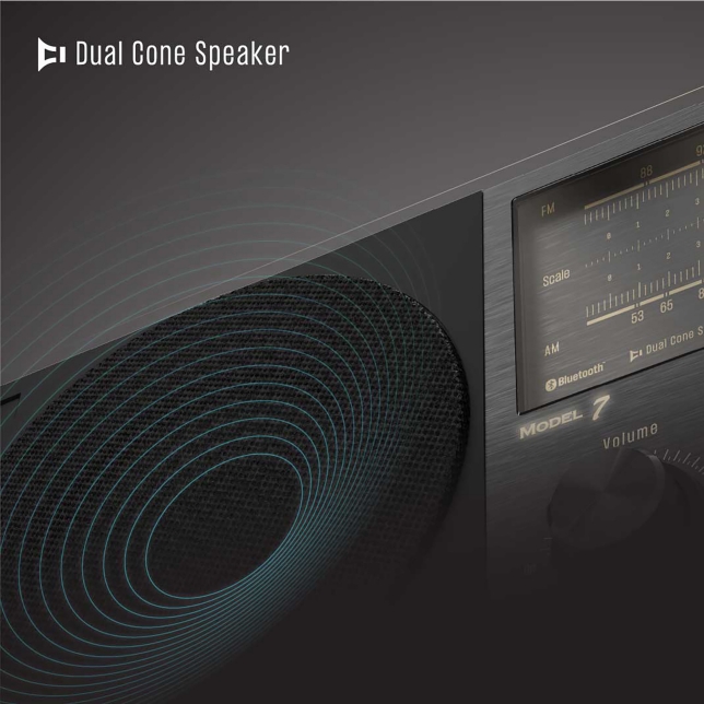 Dual Cone Speaker - Full Range Reproduction
