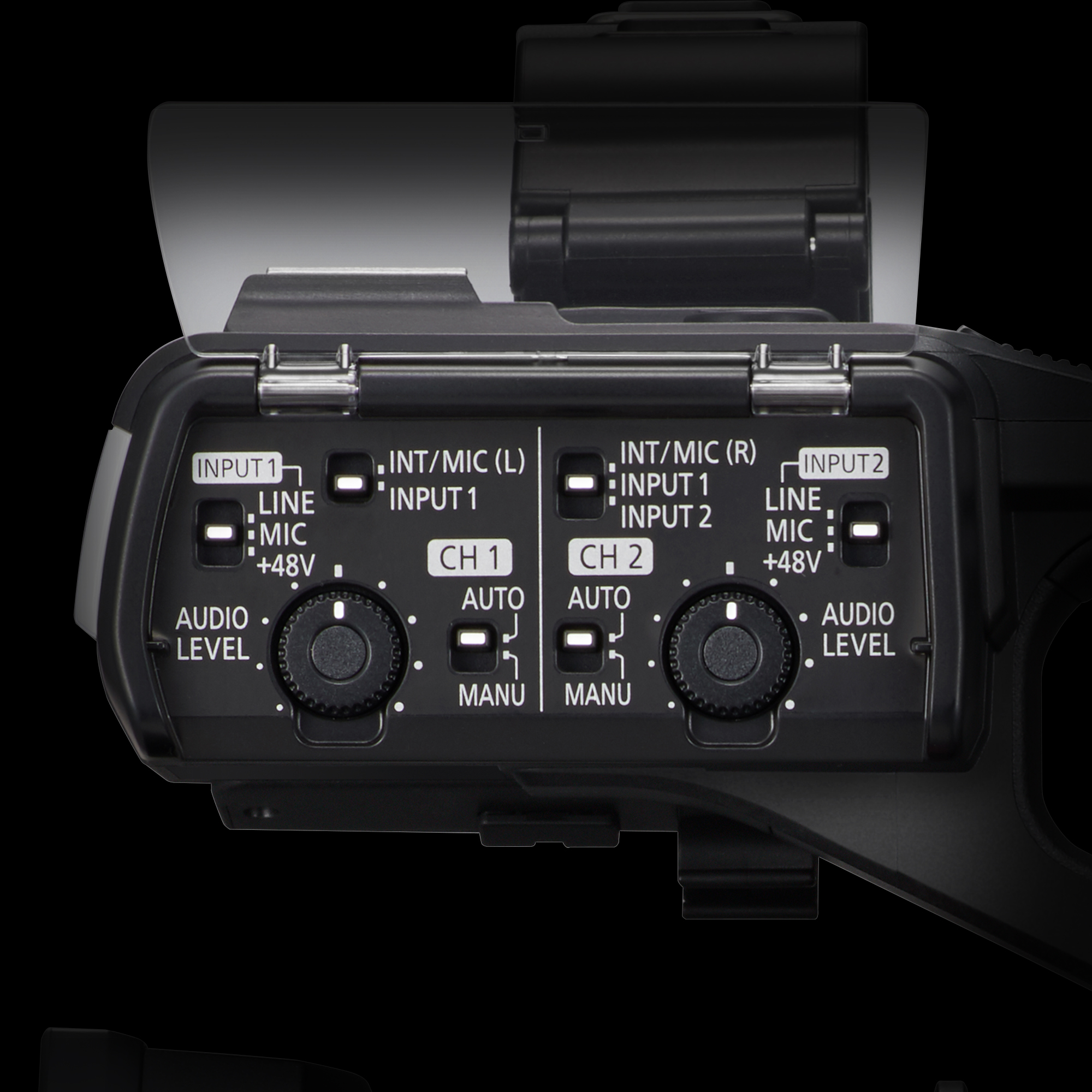 Terminali di ingresso audio XLR a 2 canali