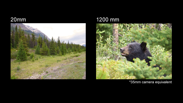 Lasciati ispirare - DMC-FZ72 Grandi momenti, da vicino e da lontano