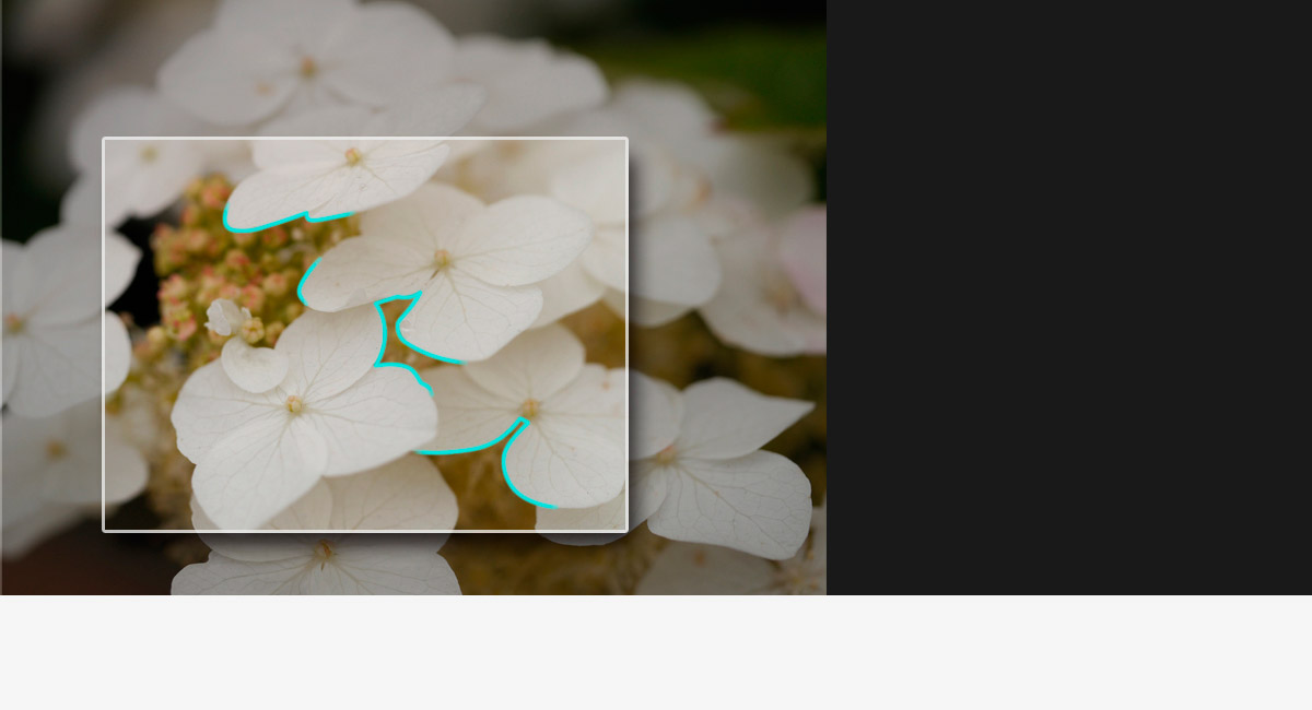 Focus Peaking manuale