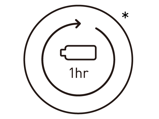 Ricarica completa della batteria in 1 ora