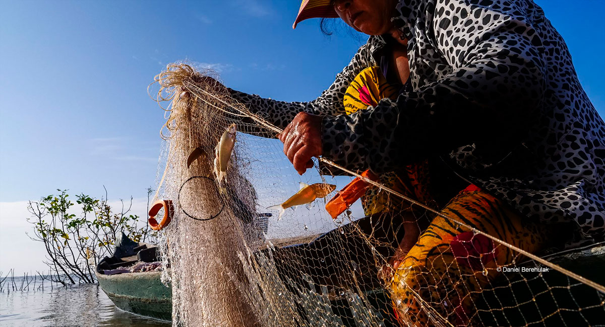 ភាពស្រស់ស្អាតនៃ Venus Engine