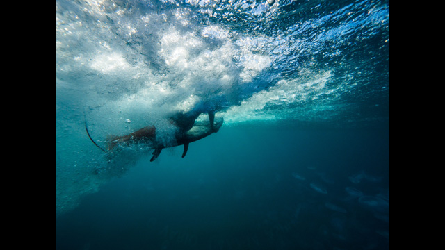 ទទួលបានការបំផុសគំនិត - កាមេរ៉ា LUMIX កែវទោលឥតកញ្ចក់ស៊េរី DC-GH5