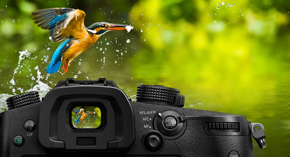 3,680k-dot OLED LVF ធំ