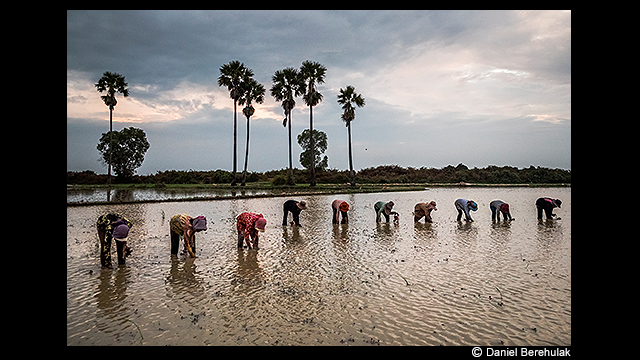 ទទួលបានការបំផុសគំនិត - កាមេរ៉ា LUMIX កែវទោលឥតកញ្ចក់ស៊េរី DC-GH5L