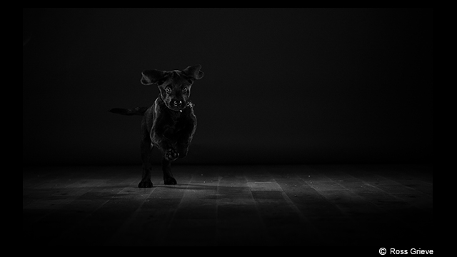 ទទួលបានការបំផុសគំនិត - កាមេរ៉ា LUMIX កែវទោលឥតកញ្ចក់ស៊េរី DC-GH5L