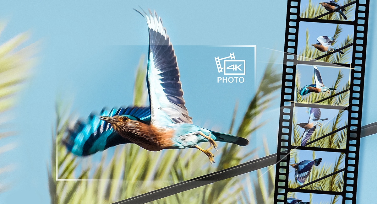 មិនដែលខកខានឱកាសដ៏ល្អឥតខ្ចោះឡើយ!