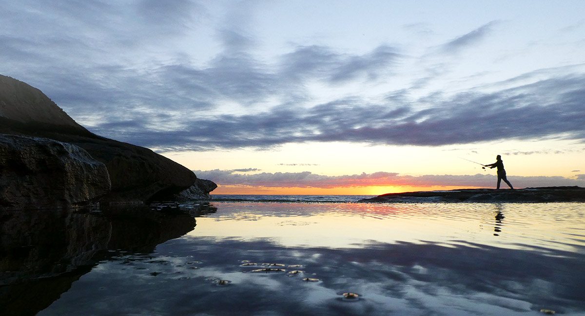 
ភាពលម្អិតច្បាស់ត្រូវបានបង្ហាញក្នុងកម្រិតលម្អិត 20.3 មេហ្គាភិចស៊ែល
