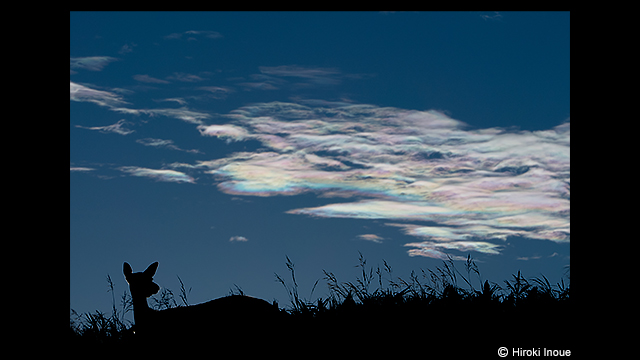 ទទួលបានការបំផុសគំនិត - កាមេរ៉ាឌីជីថល LUMIX DMC-FZ2500