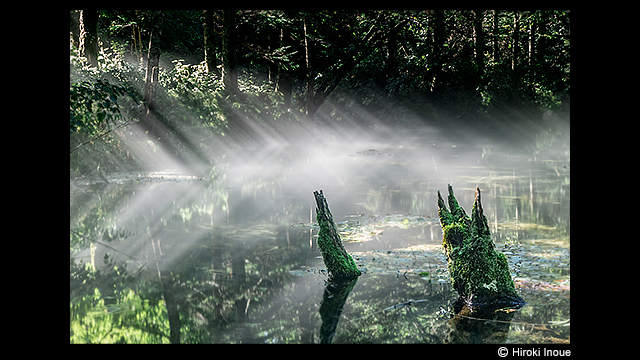 ទទួលបានការបំផុសគំនិត - កាមេរ៉ាឌីជីថល LUMIX DMC-FZ2500