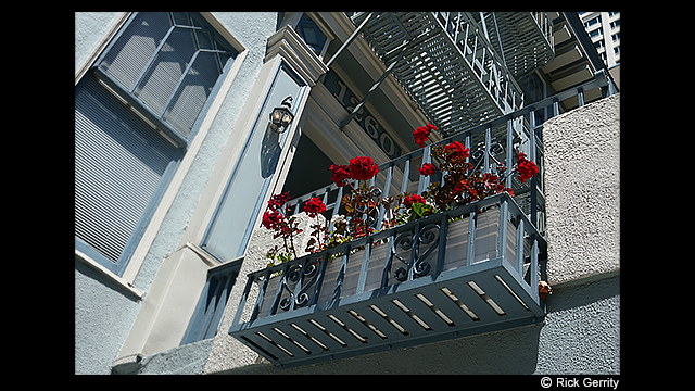 ទទួលបានការបំផុសគំនិត - កាមេរ៉ាឌីជីថល LUMIX DMC-LX10