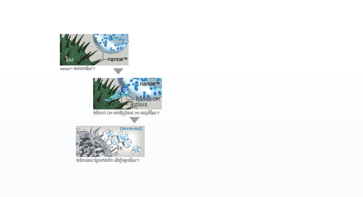 តើ nanoe™ ដំណើរការដូចម្ដេច?