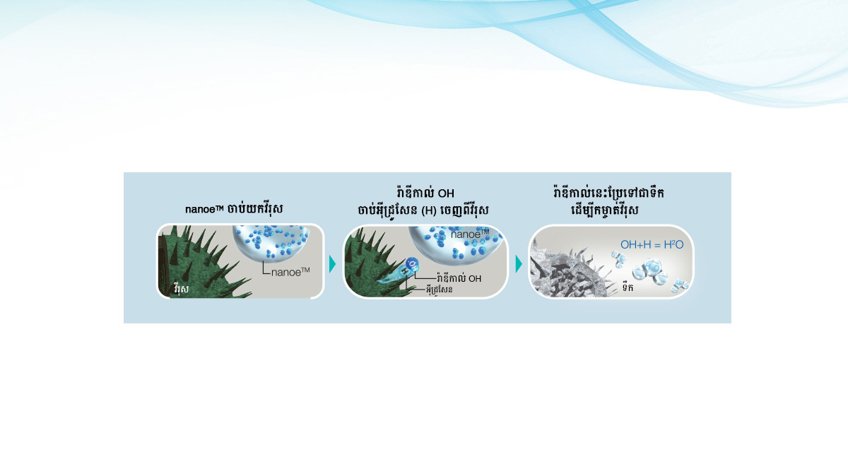 តើអ្វីទៅជារ៉ាឌីកាល់ OH?