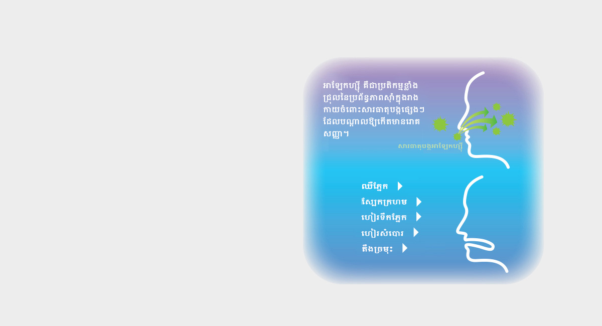 តើអ្វីទៅជាសារធាតុអាឡែកហ្ស៊ី? តើអ្វីទៅជាអាឡែកហ្ស៊ី?