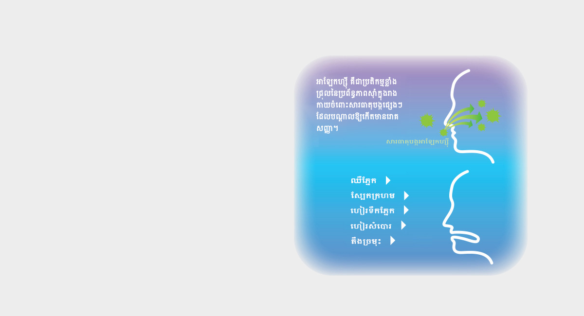 តើអ្វីទៅជាសារធាតុអាឡែកហ្ស៊ី? តើអ្វីទៅជាអាឡែកហ្ស៊ី?