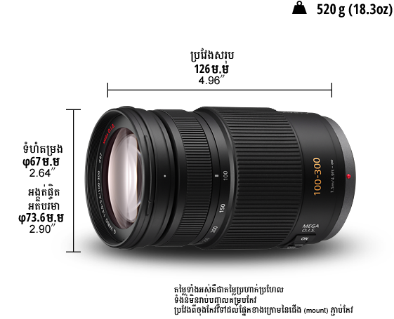 LUMIX G Lens H-FSA100300