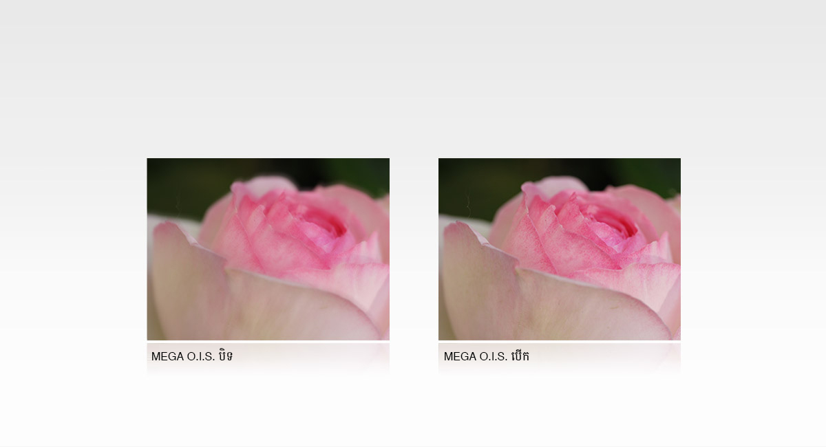 MEGA O.I.S. (មុខងាររក្សាលំនឹងរូបភាពបែបអុបទិក)