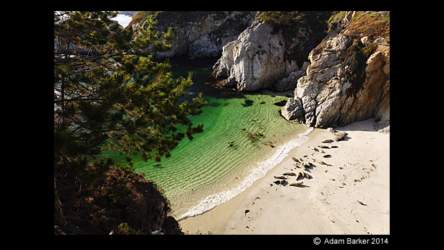 للاستلهام - كاميرا لوميكس رقمية DMC-FZ1000