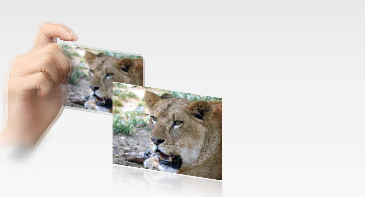 مثبت الصورة البصري مع الوضع النشط
