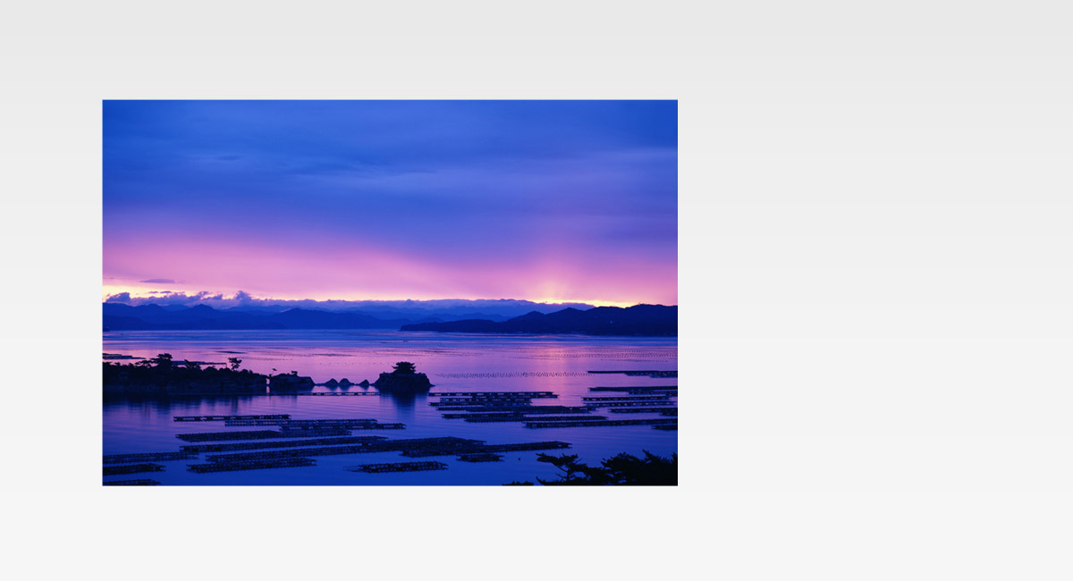 حساس MOS عالي الحساسية 16.1 ميجابكسل
