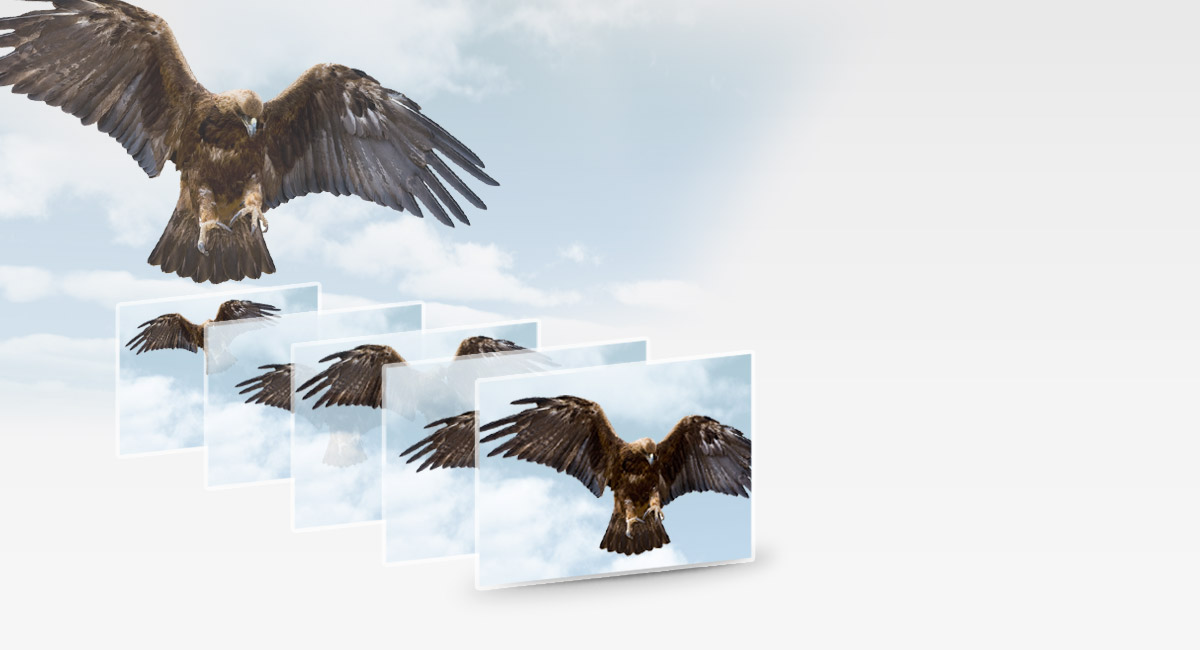 استجابة عالية السرعة
