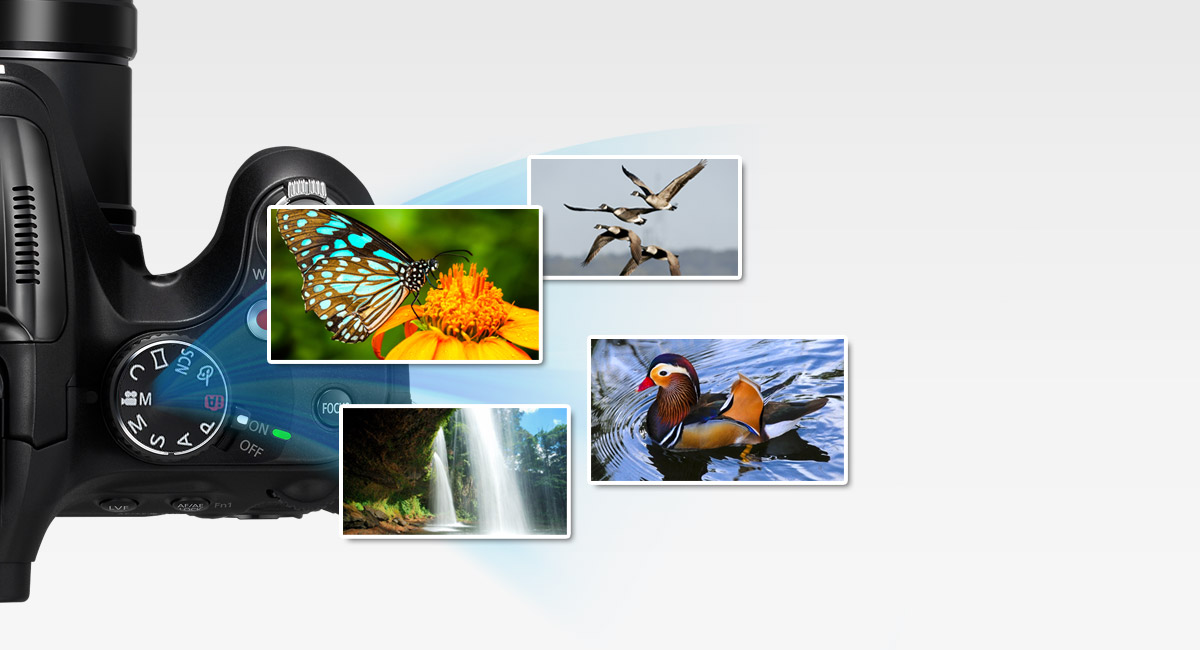 وضع الفيديو الإبداعي
