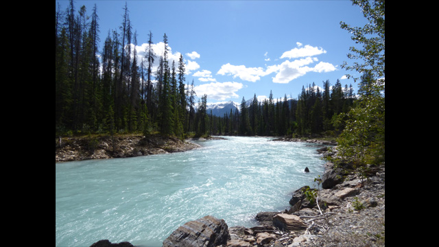 للاستلهام - كاميرا لوميكس رقمية DMC-FZ70